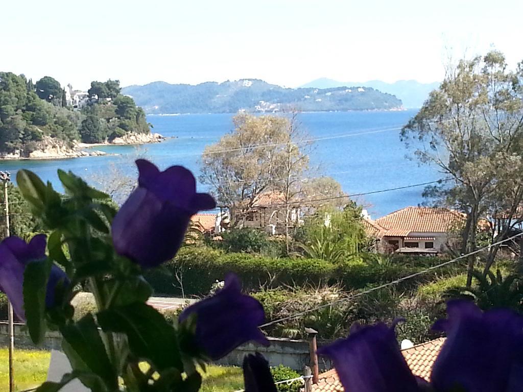 Tzaneria Apartments Skiathos Kanapitsa  Esterno foto