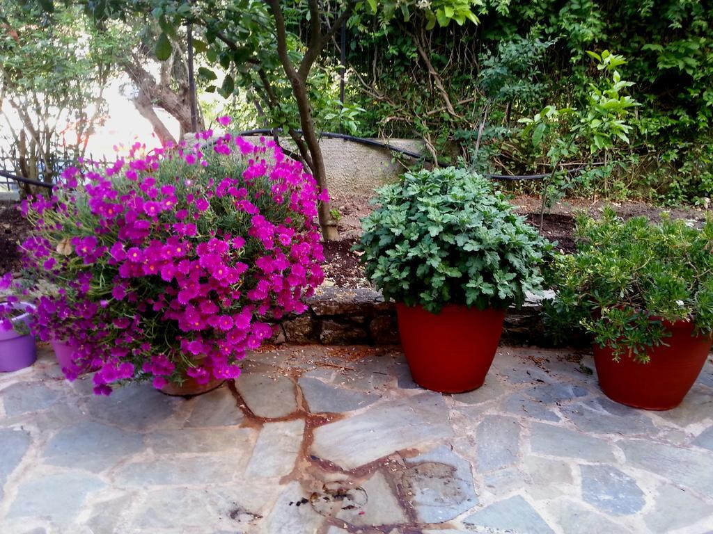 Tzaneria Apartments Skiathos Kanapitsa  Esterno foto